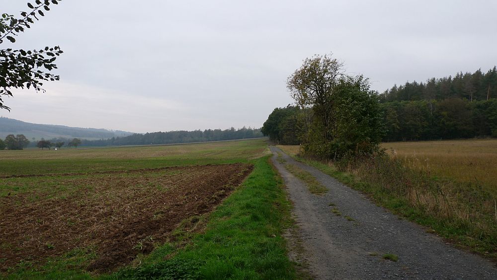 Habichtswaldsteig