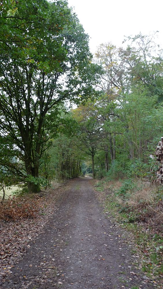 Habichtswaldsteig
