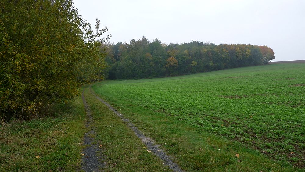 Habichtswaldsteig