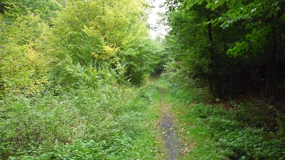 Habichtswaldsteig