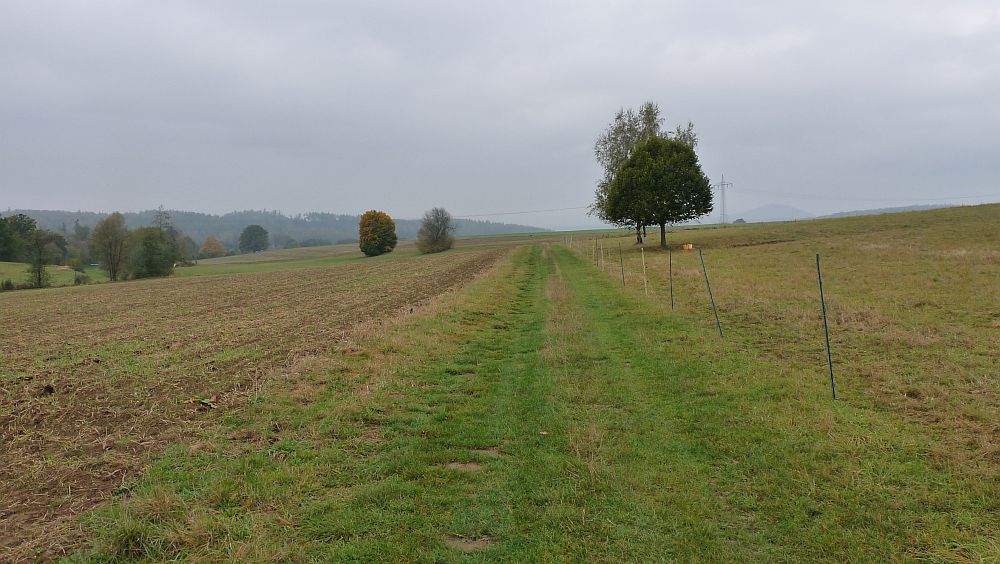 Habichtswaldsteig