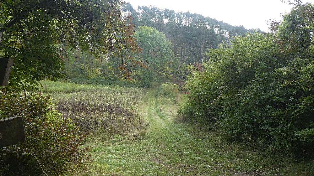 Habichtswaldsteig