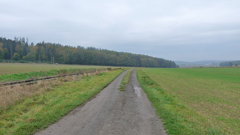 Habichtswaldsteig