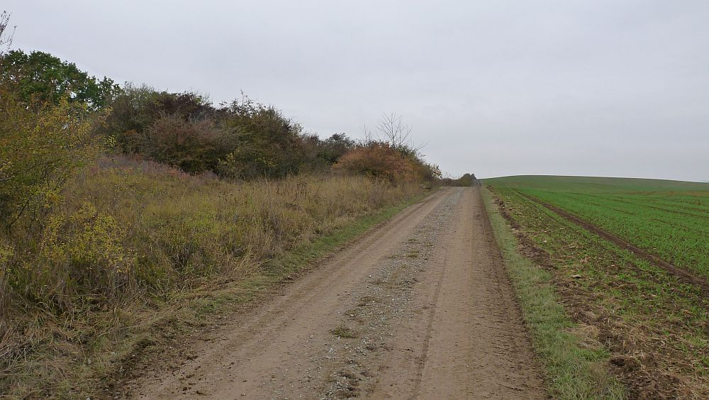Habichtswaldsteig