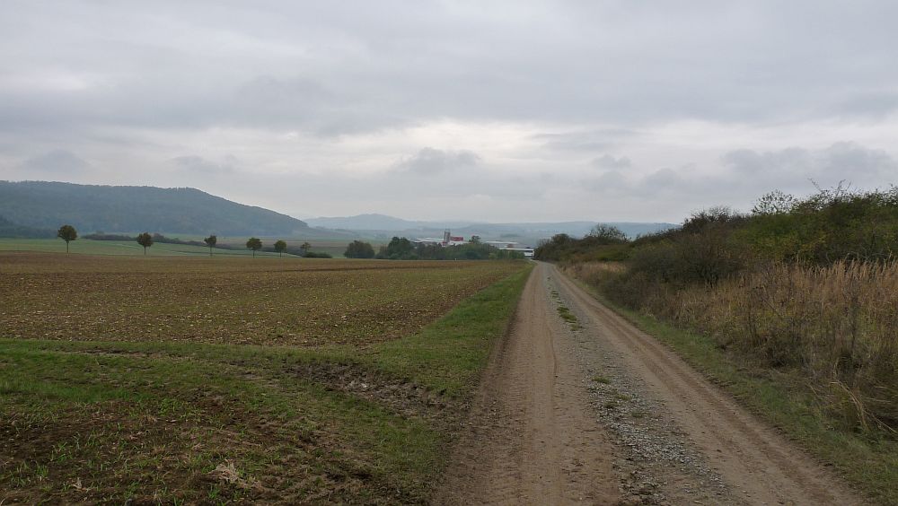 Habichtswaldsteig