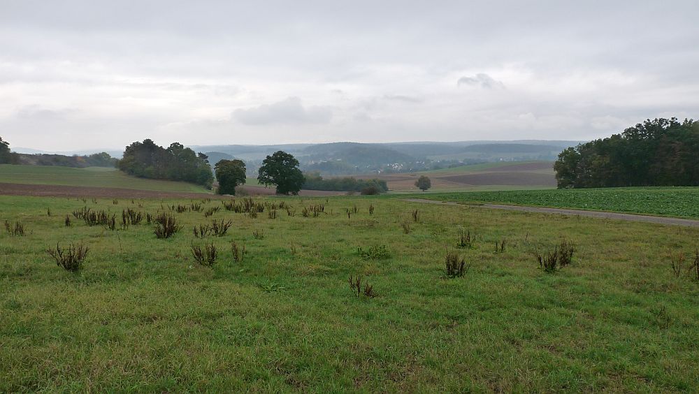 Habichtswaldsteig