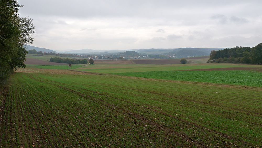 Habichtswaldsteig