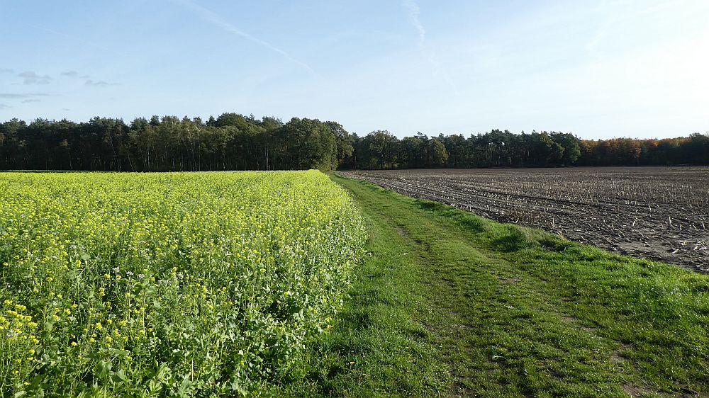 Hermannshöhen