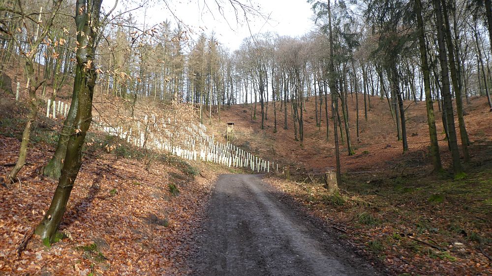 Hermannshöhen