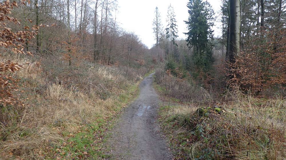 Hermannshöhen