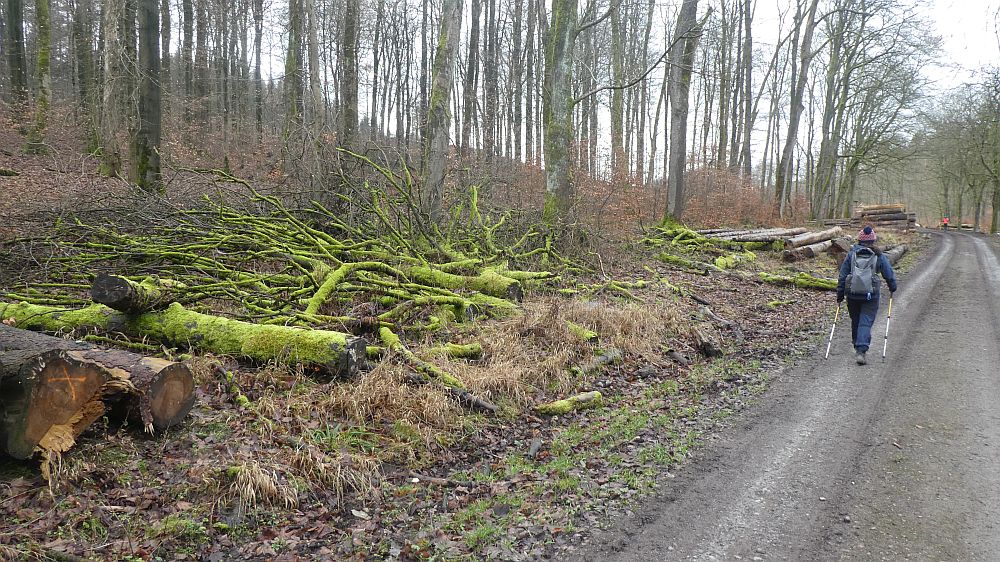 Hermannshöhen