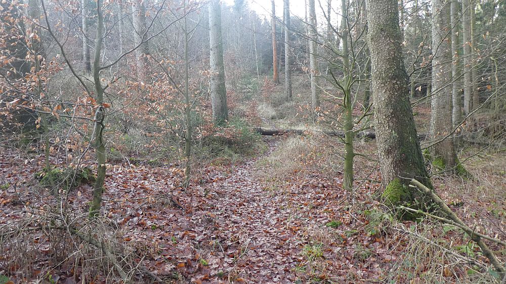 Hermannshöhen