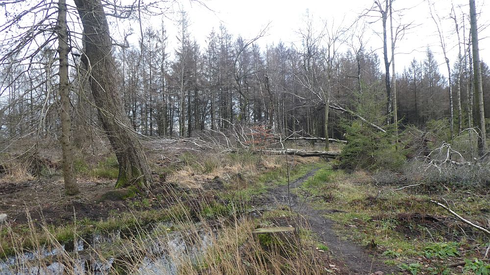 Hermannshöhen