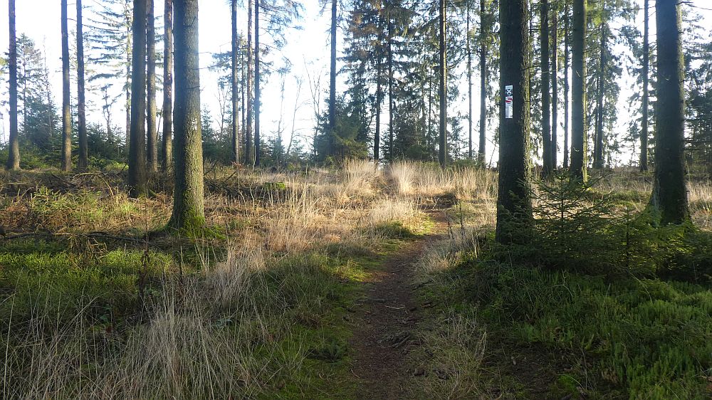 Hermannshöhen