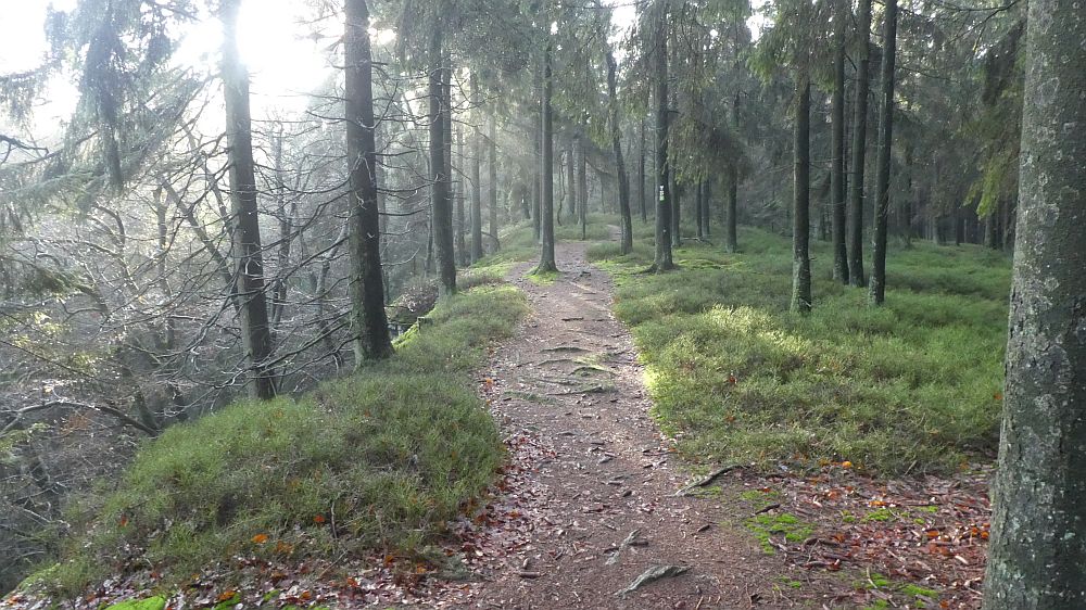 Hermannshöhen