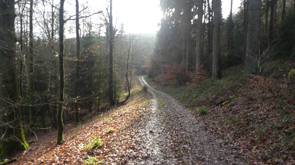 Hermannshöhen