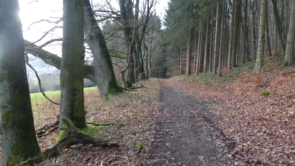 Hermannshöhen