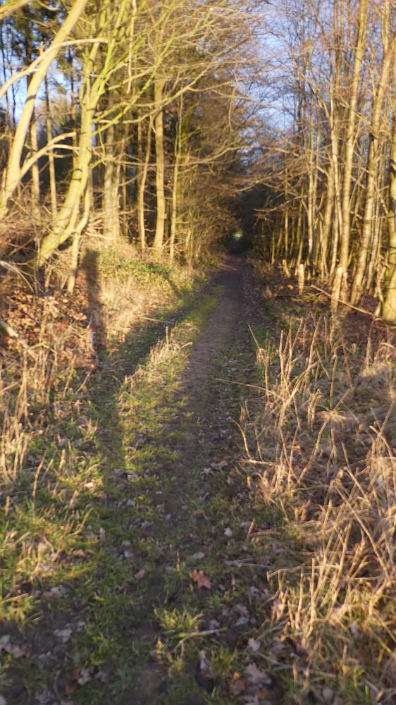 Hermannshöhen