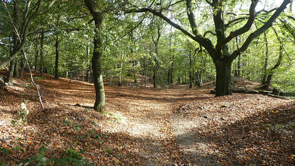 Hermannshöhen