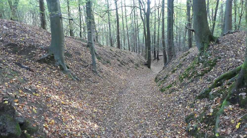 Hermannshöhen
