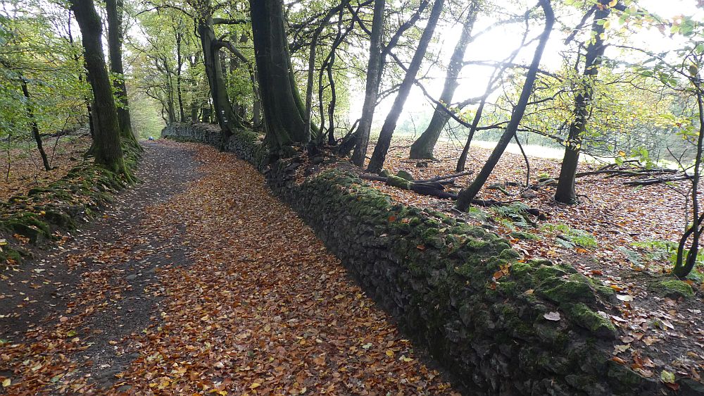 Hermannshöhen