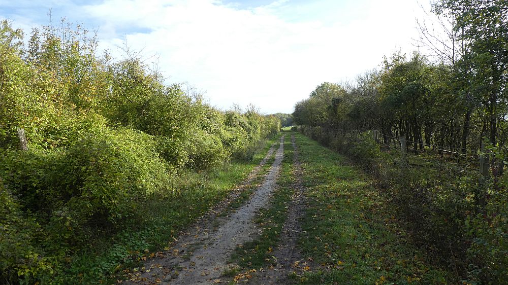 Hermannshöhen