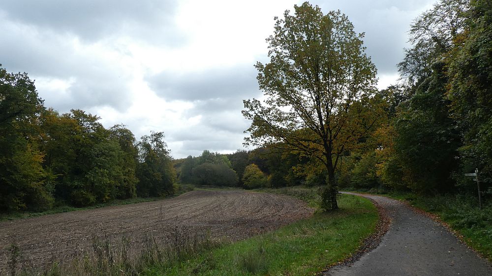 Hermannshöhen