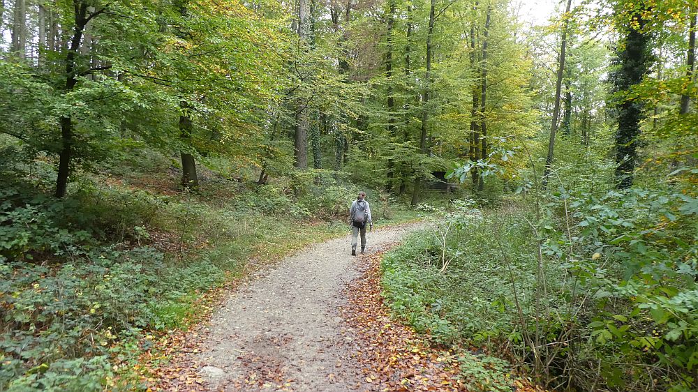Hermannshöhen