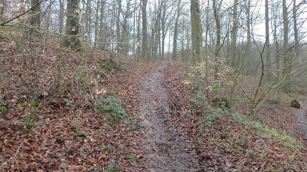 Hermannshöhen