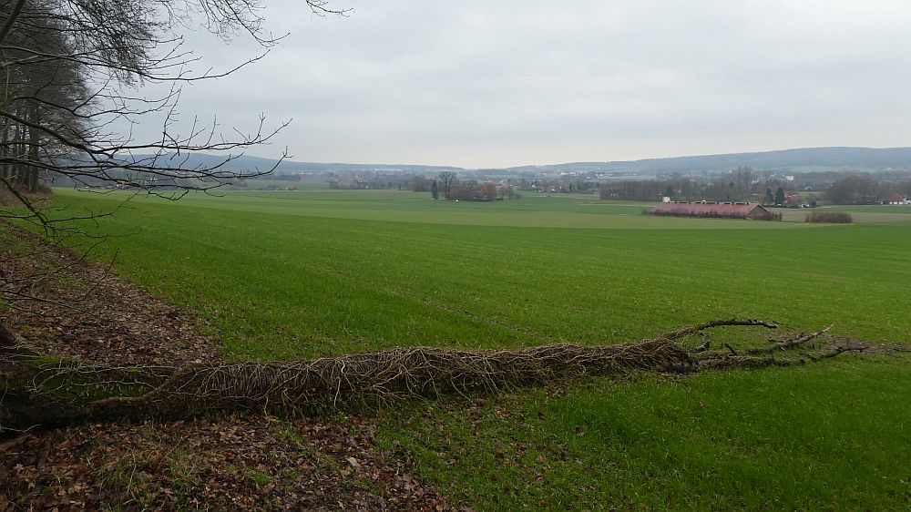 Hermannshöhen