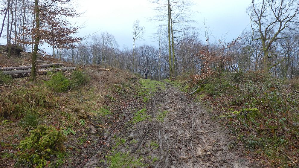 Hermannshöhen