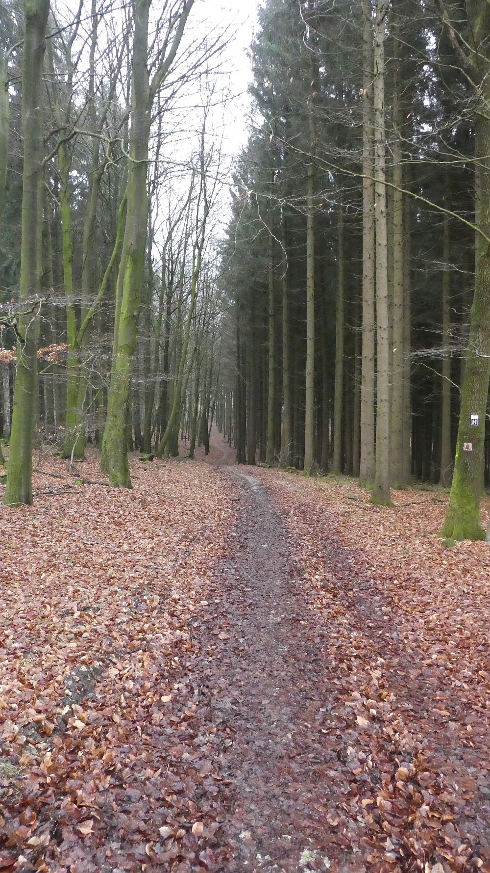 Hermannshöhen