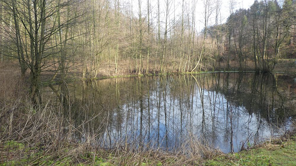 Hermannshöhen