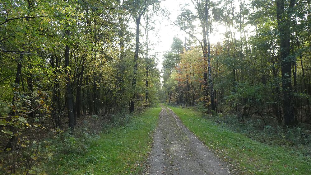 Hermannshöhen