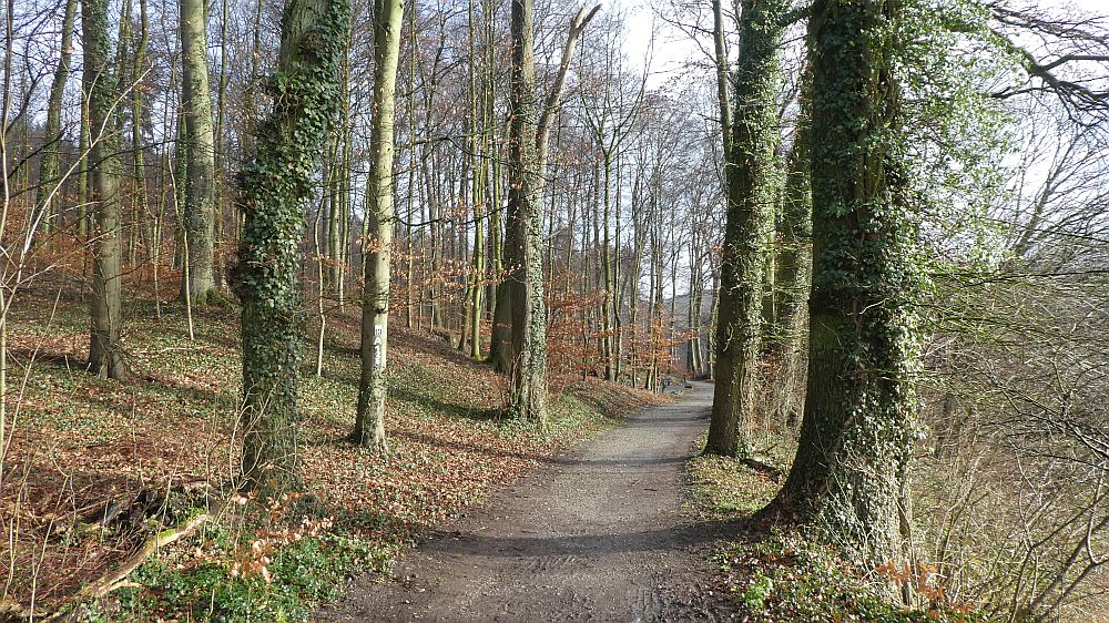Hermannshöhen
