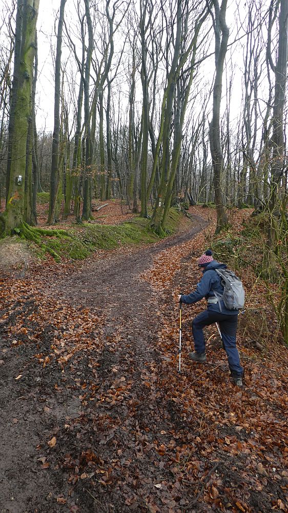 Hermannshöhen