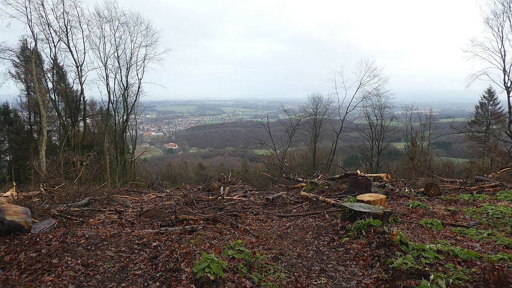 Hermannshöhen