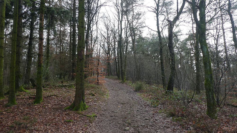 Hermannshöhen