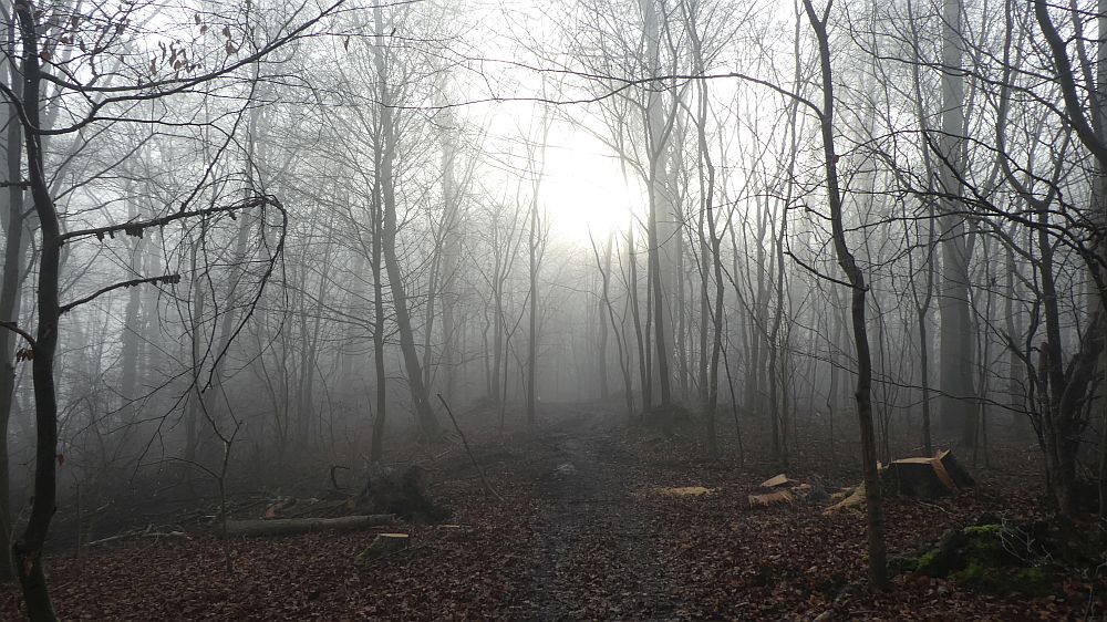 Hermannshöhen