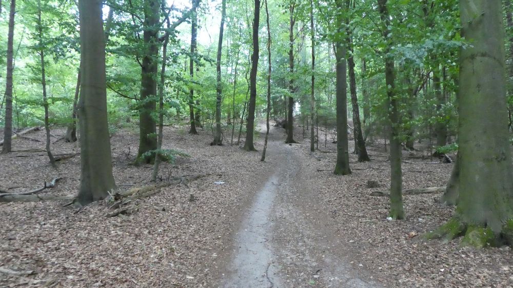 Hermannshöhen