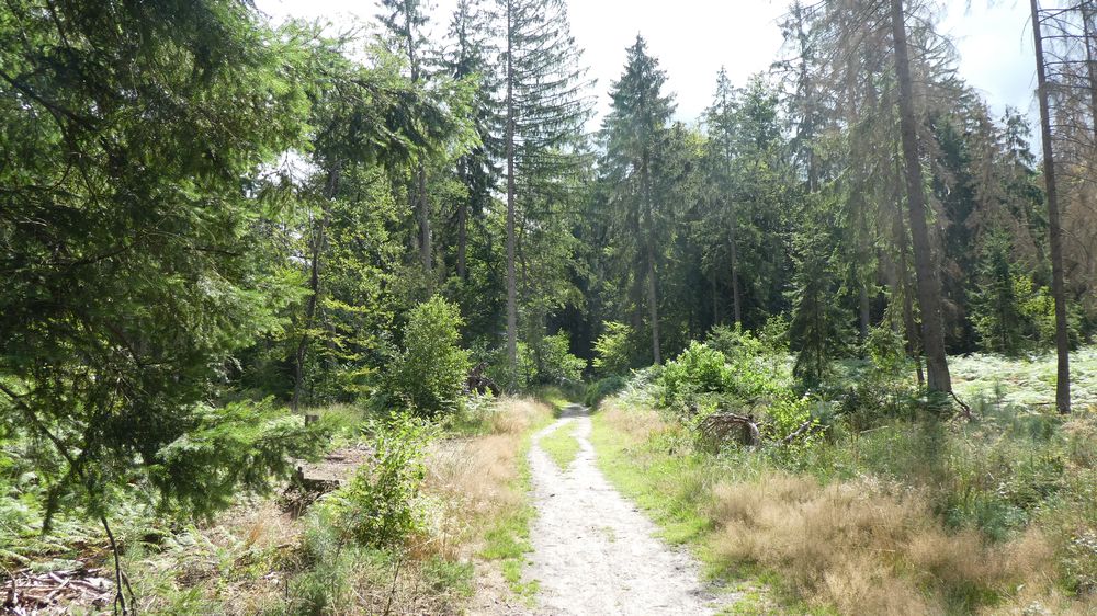 Hermannshöhen