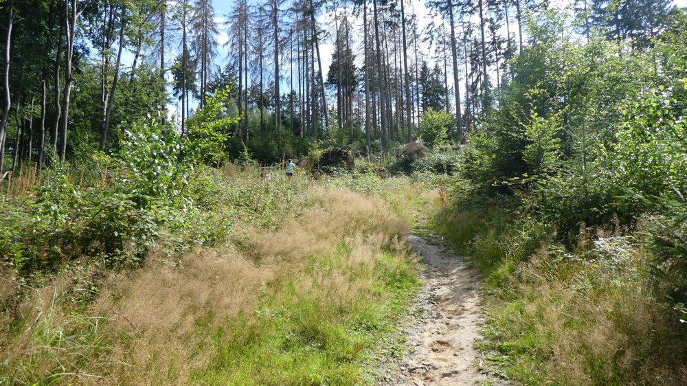 Hermannshöhen
