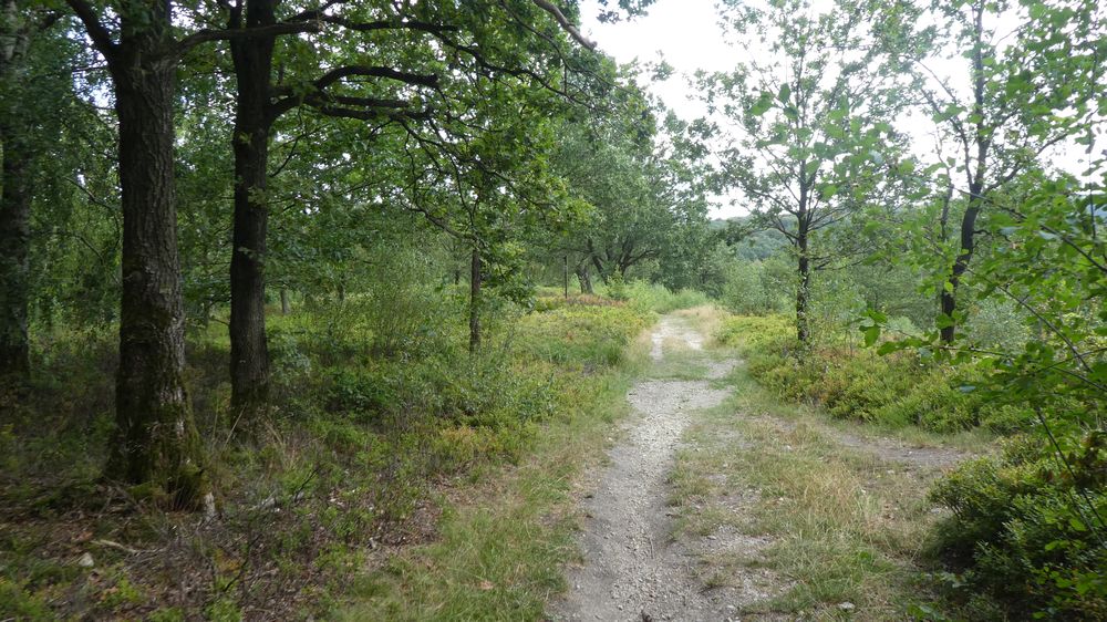 Hermannshöhen