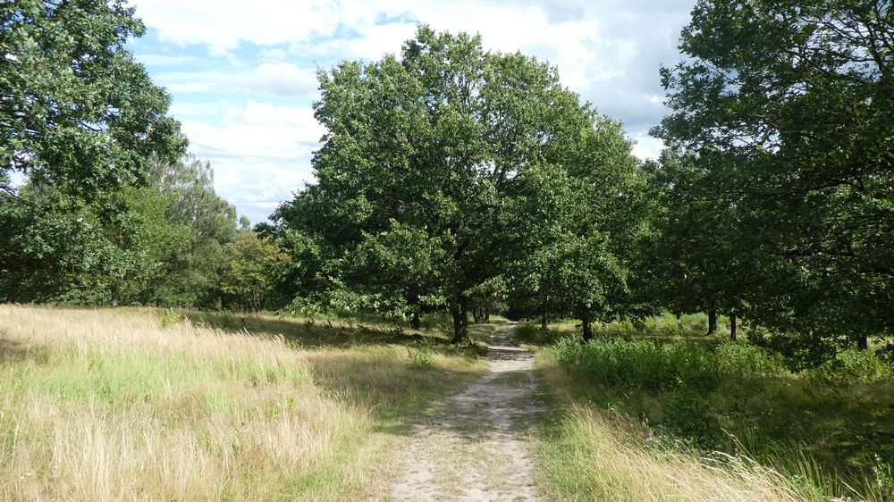 Hermannshöhen
