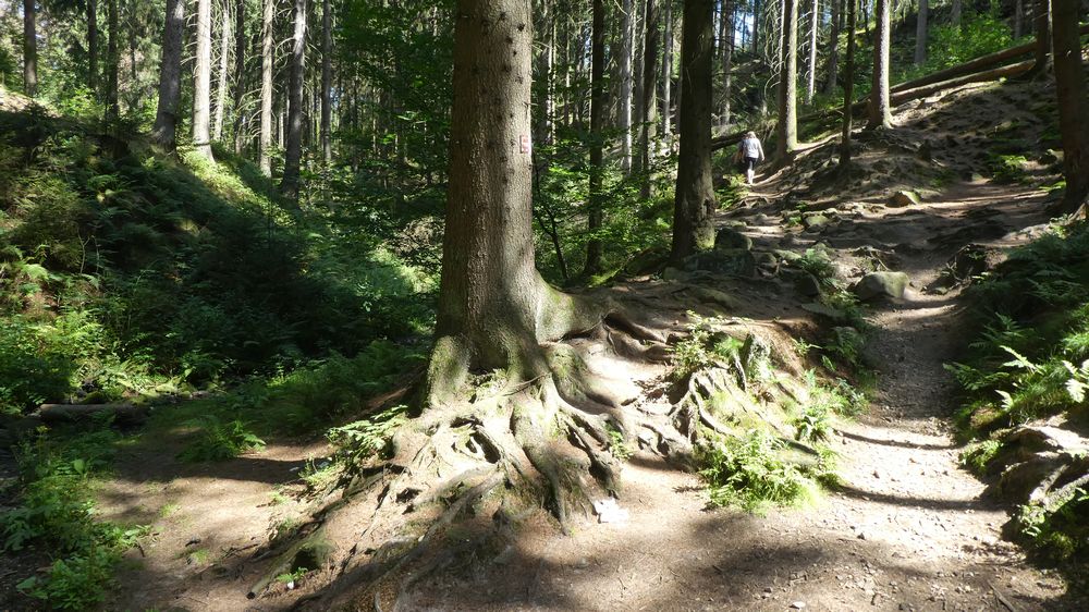 Hermannshöhen