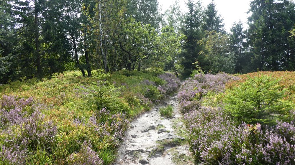 Hermannshöhen