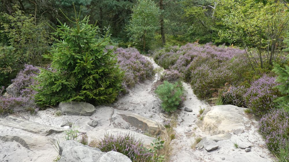 Hermannshöhen