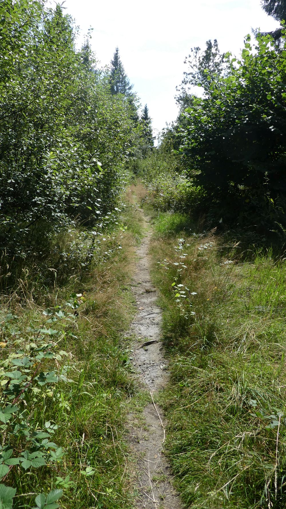 Hermannshöhen