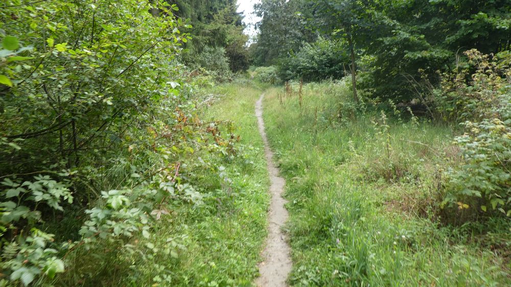 Hermannshöhen