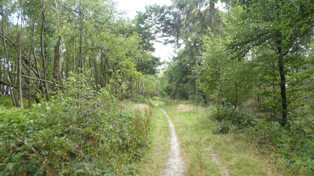 Hermannshöhen